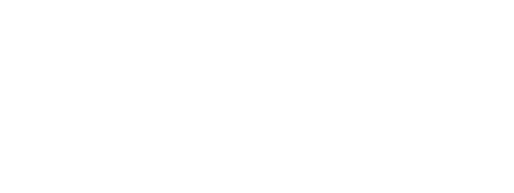 Wai Logo